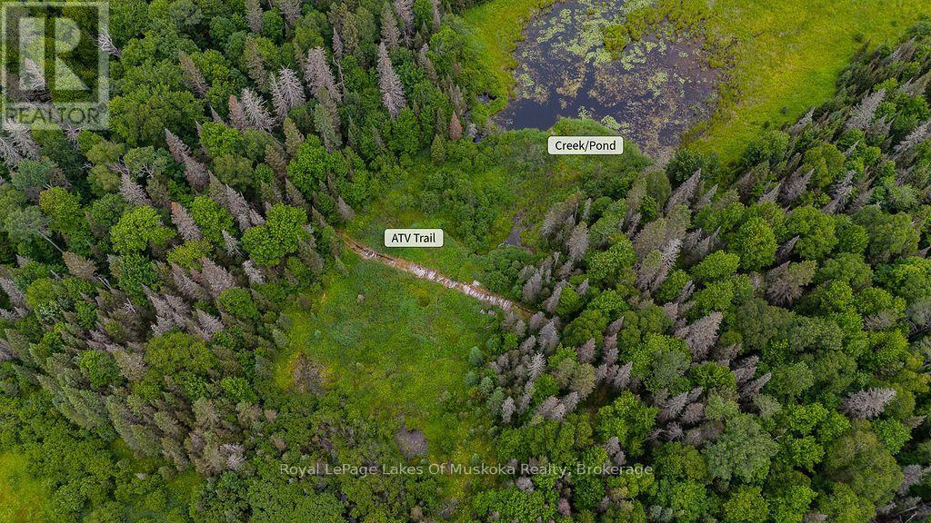 286 Halls Road E, Magnetawan, Ontario  P0A 1Z0 - Photo 9 - X13697500