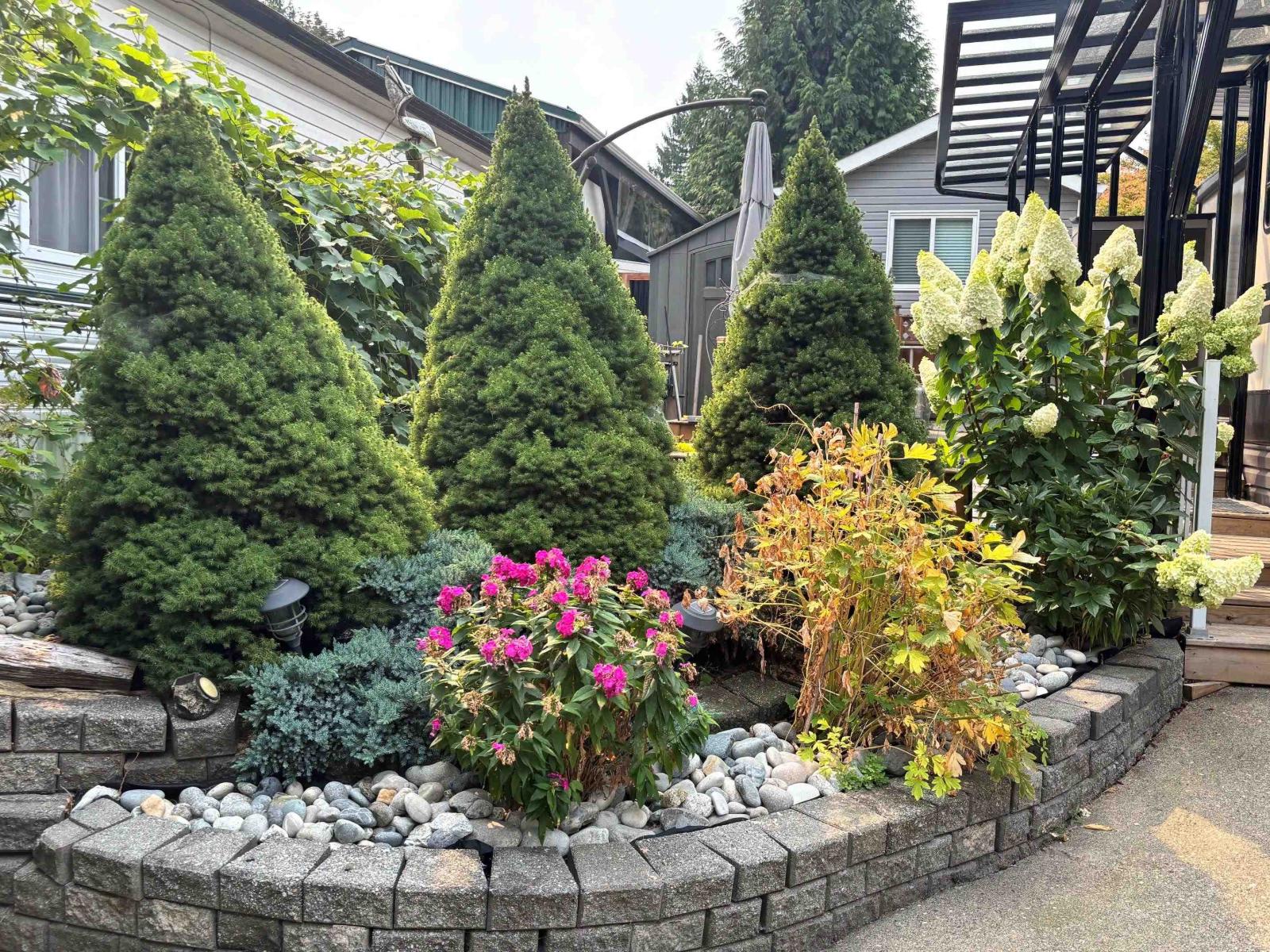 74 14600 Morris Valley Road, Mission, British Columbia  V0M 1A1 - Photo 5 - R3115982