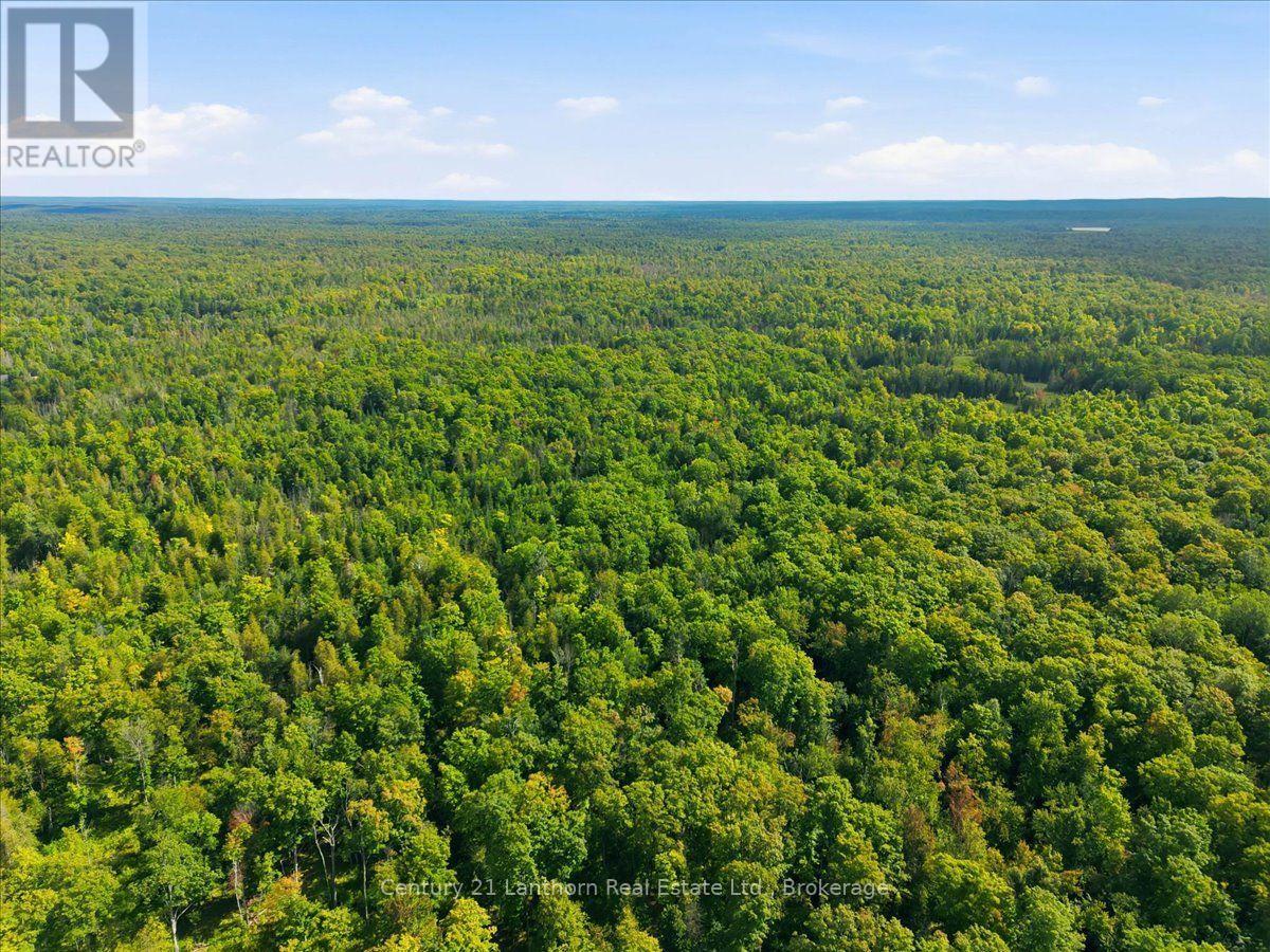 18448 Highway 62, Tudor And Cashel, Ontario  K0K 1Y0 - Photo 46 - X13697766