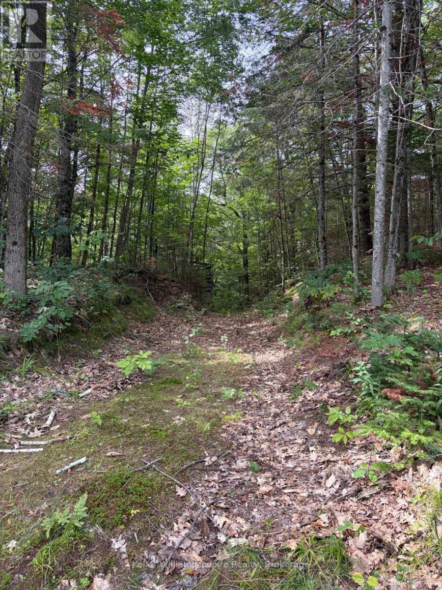 181 Chemaushgon Road, Bancroft, Ontario  K0L 1C0 - Photo 2 - X13691344