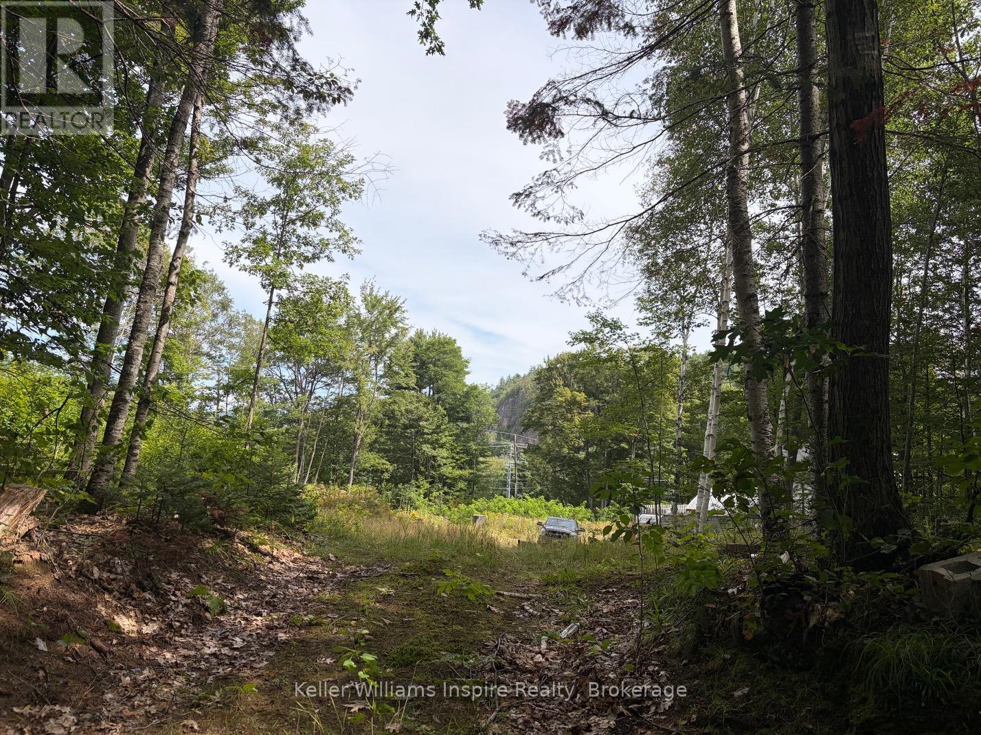 181 Chemaushgon Road, Bancroft, Ontario  K0L 1C0 - Photo 6 - X13691344