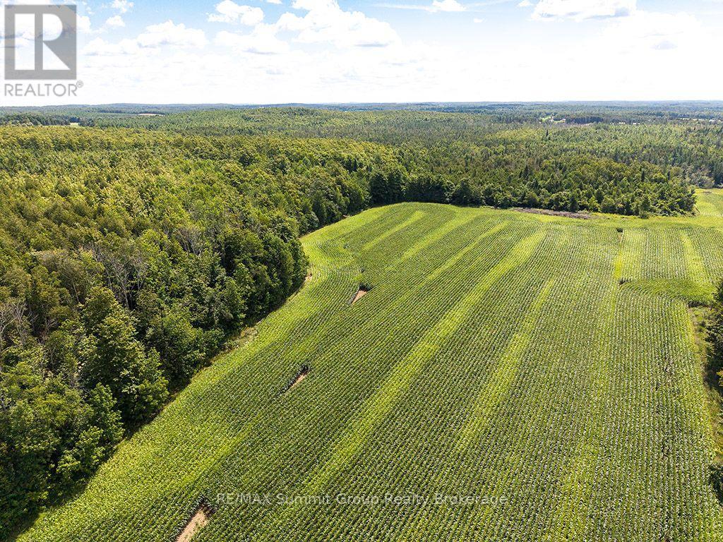 449686 10th Concession Road, Grey Highlands, Ontario  N0C 1M0 - Photo 46 - X13697776