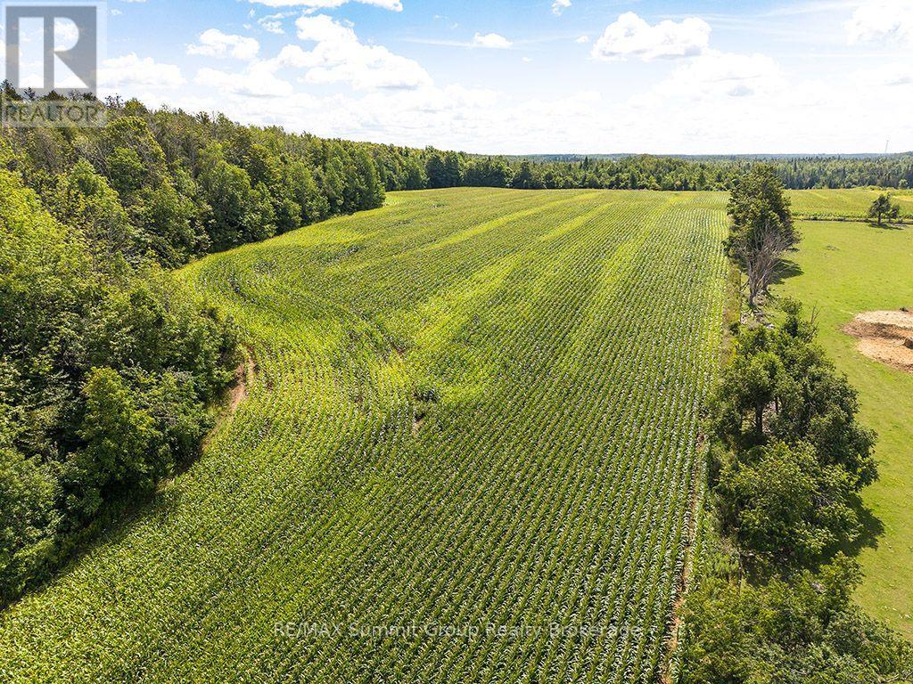 449686 10th Concession Road, Grey Highlands, Ontario  N0C 1M0 - Photo 2 - X13697780