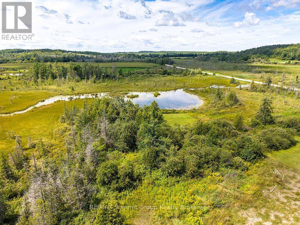 449686 10th Concession Road, Grey Highlands, Ontario  N0C 1M0 - Photo 31 - X13697780