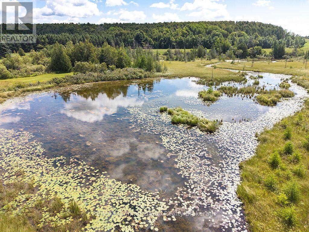 449686 10th Concession Road, Grey Highlands, Ontario  N0C 1M0 - Photo 33 - X13697780