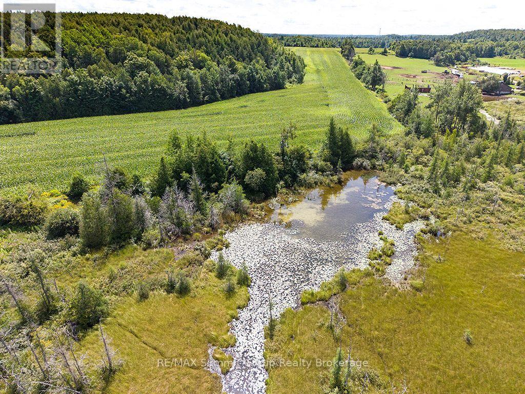 449686 10th Concession Road, Grey Highlands, Ontario  N0C 1M0 - Photo 5 - X13697780