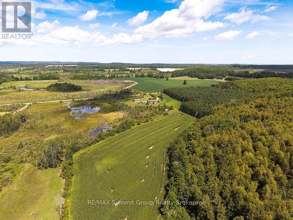 449686 10th Concession Road, Grey Highlands, Ontario  N0C 1M0 - Photo 6 - X13697780
