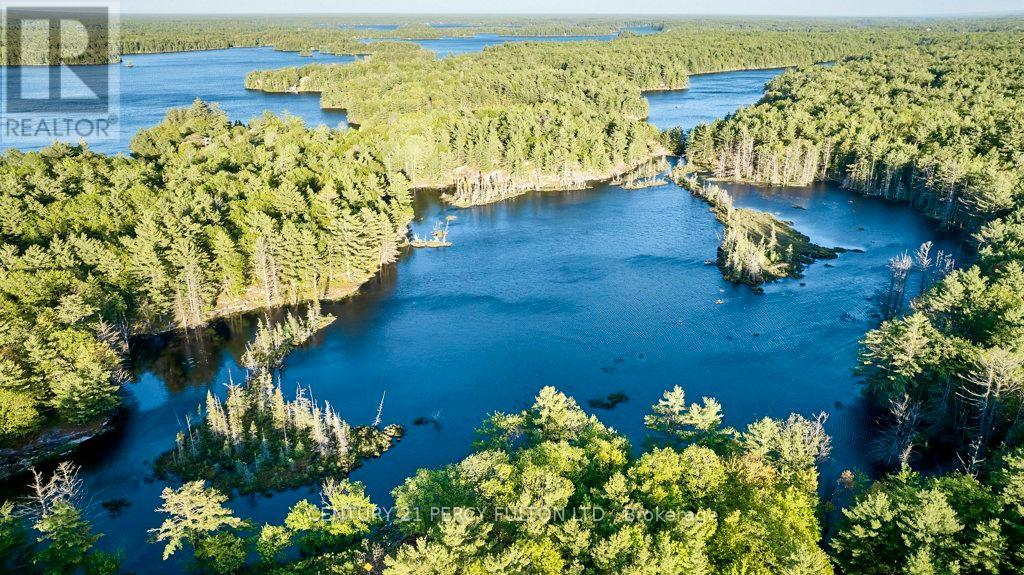 450 Crooked Bay Road, Georgian Bay, Ontario  P0C 1S0 - Photo 38 - X13697638