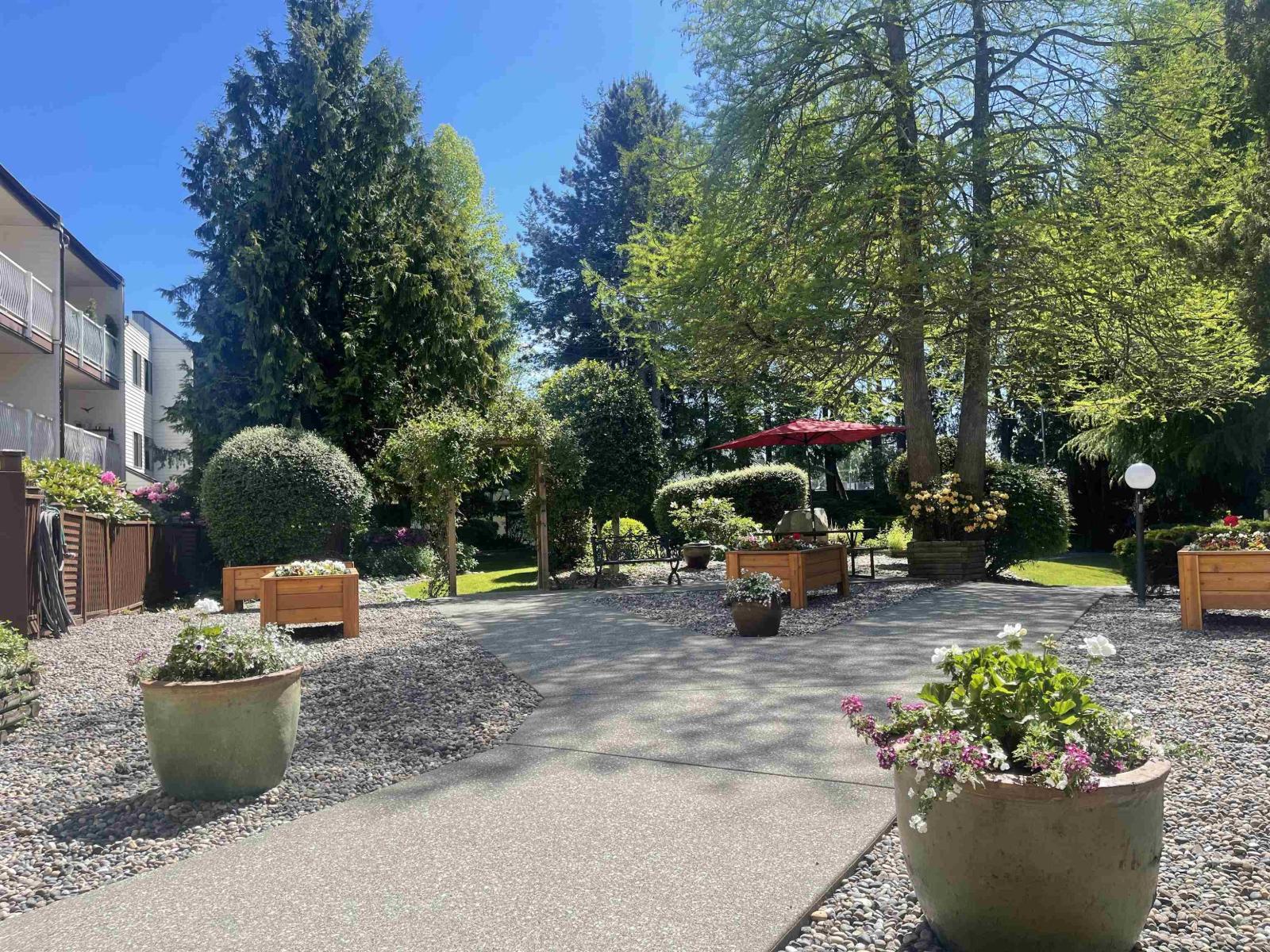 217 12890 17 Avenue, Surrey, British Columbia  V4A 1T5 - Photo 3 - R3105372