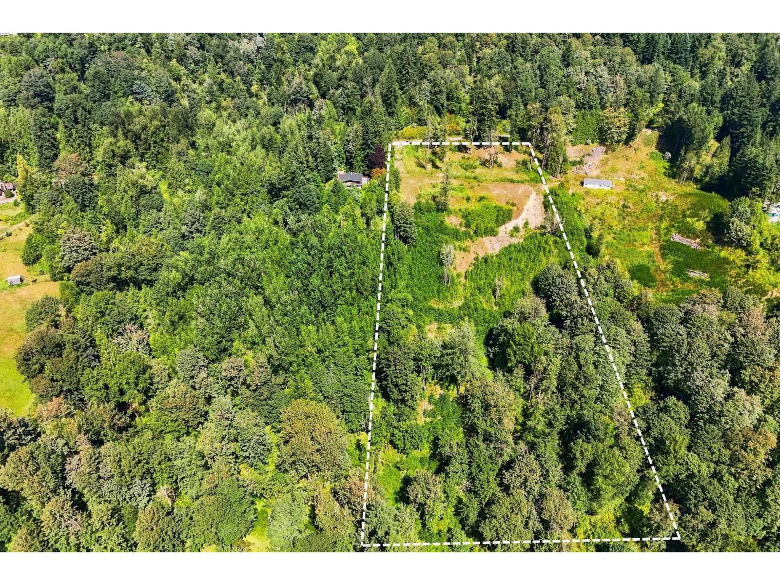 31390 Olson Avenue, Mission, British Columbia  V4S 1E8 - Photo 4 - R3155370