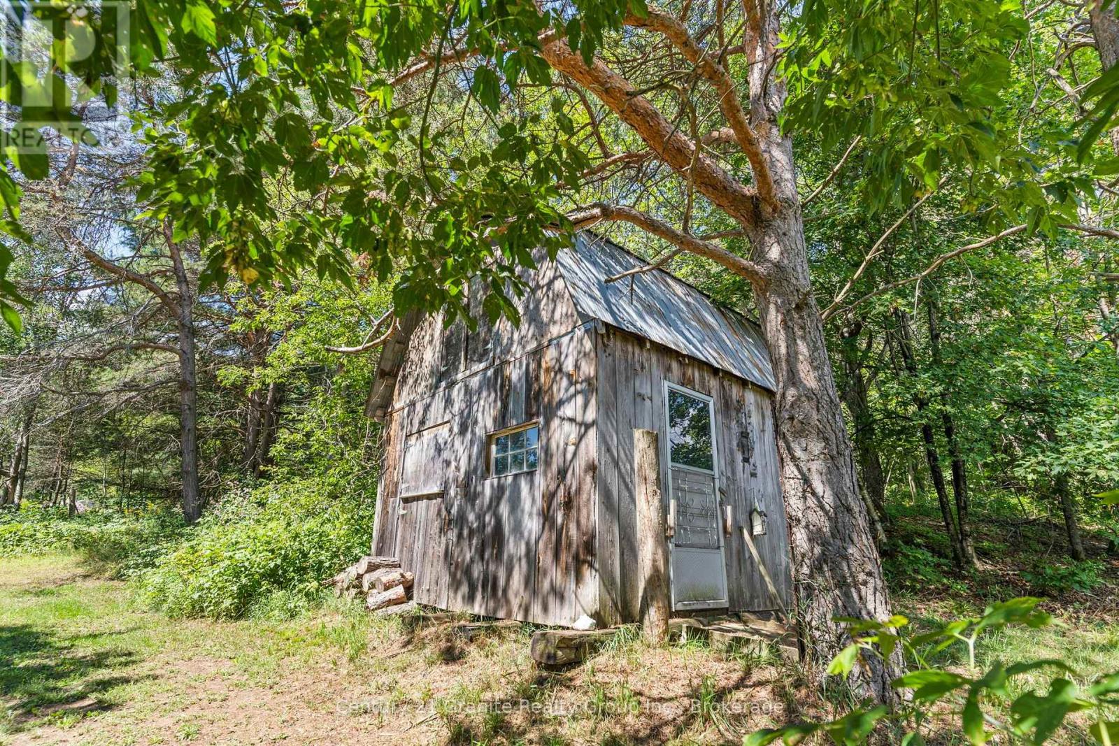197 Bobcaygeon Road, Minden Hills, Ontario  K0M 2K0 - Photo 36 - X13697820