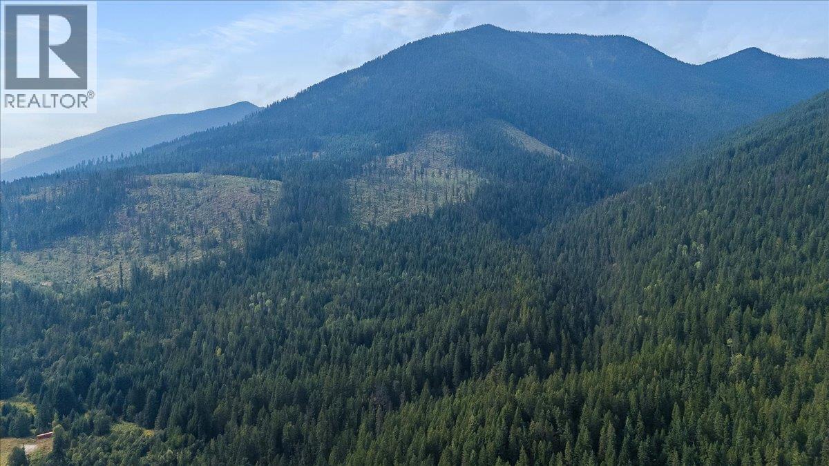 7025 Rogers Road, Balfour, British Columbia V1L 6S5 - Photo 13 - 10397833