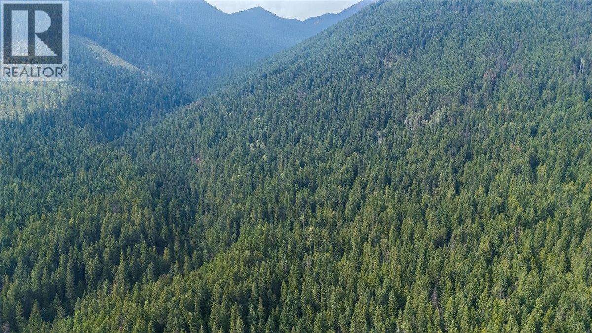 7025 Rogers Road, Balfour, British Columbia V1L 6S5 - Photo 14 - 10397833