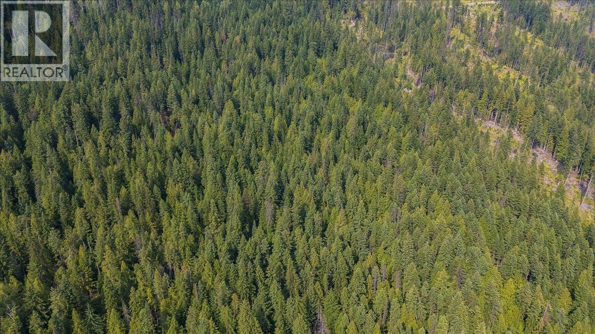 7025 Rogers Road, Balfour, British Columbia V1L 6S5 - Photo 16 - 10397833