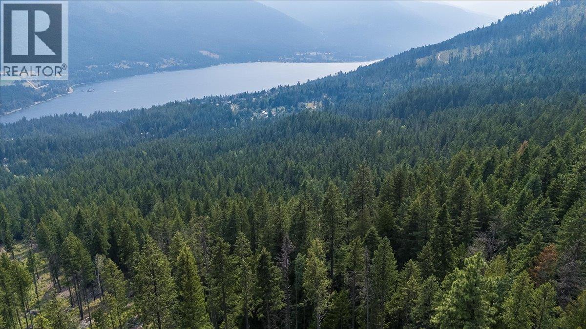 7025 Rogers Road, Balfour, British Columbia V1L 6S5 - Photo 18 - 10397833