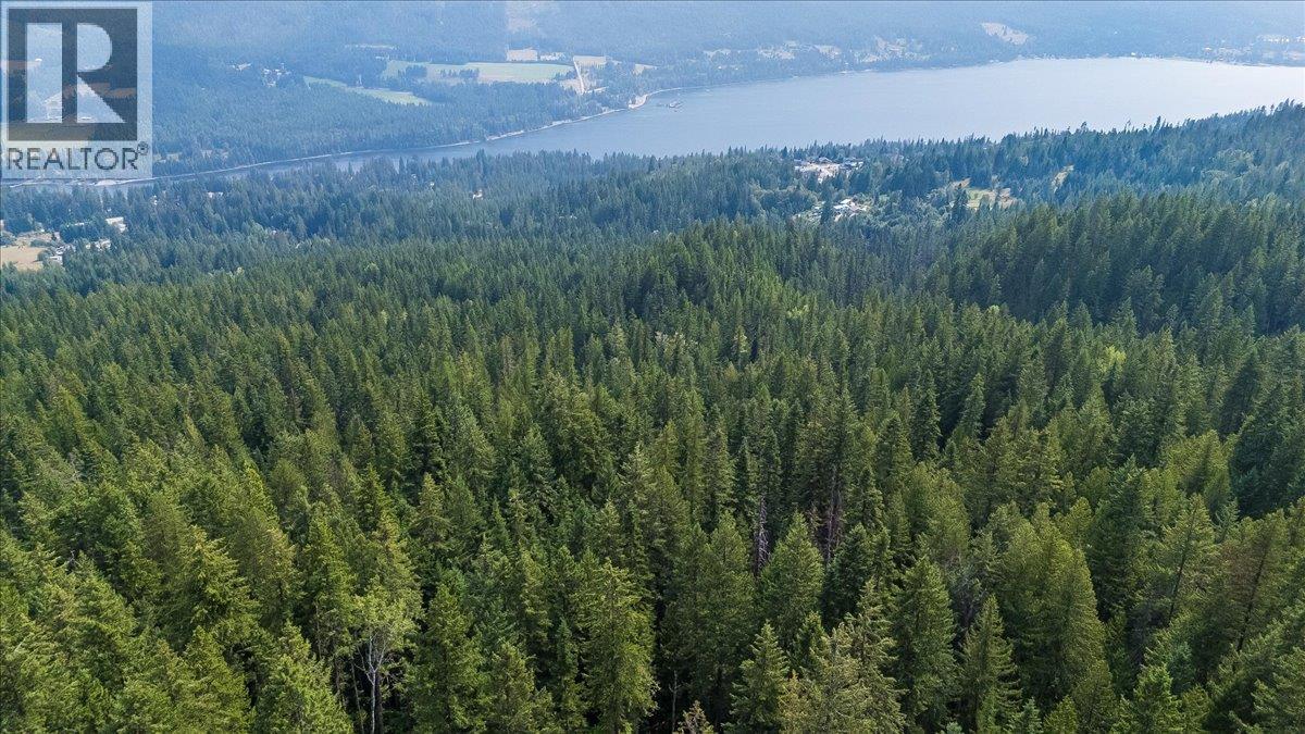 7025 Rogers Road, Balfour, British Columbia V1L 6S5 - Photo 19 - 10397833