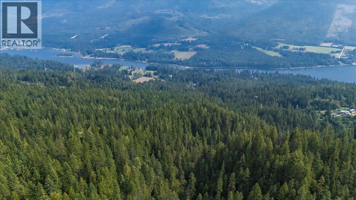 7025 Rogers Road, Balfour, British Columbia V1L 6S5 - Photo 21 - 10397833