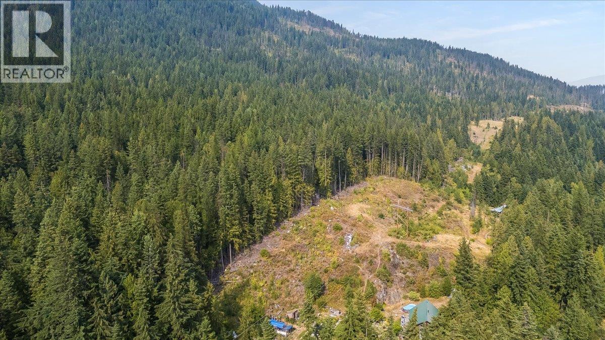7025 Rogers Road, Balfour, British Columbia V1L 6S5 - Photo 28 - 10397833