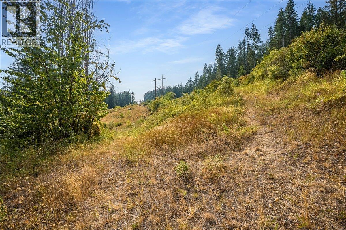 7025 Rogers Road, Balfour, British Columbia V1L 6S5 - Photo 33 - 10397833