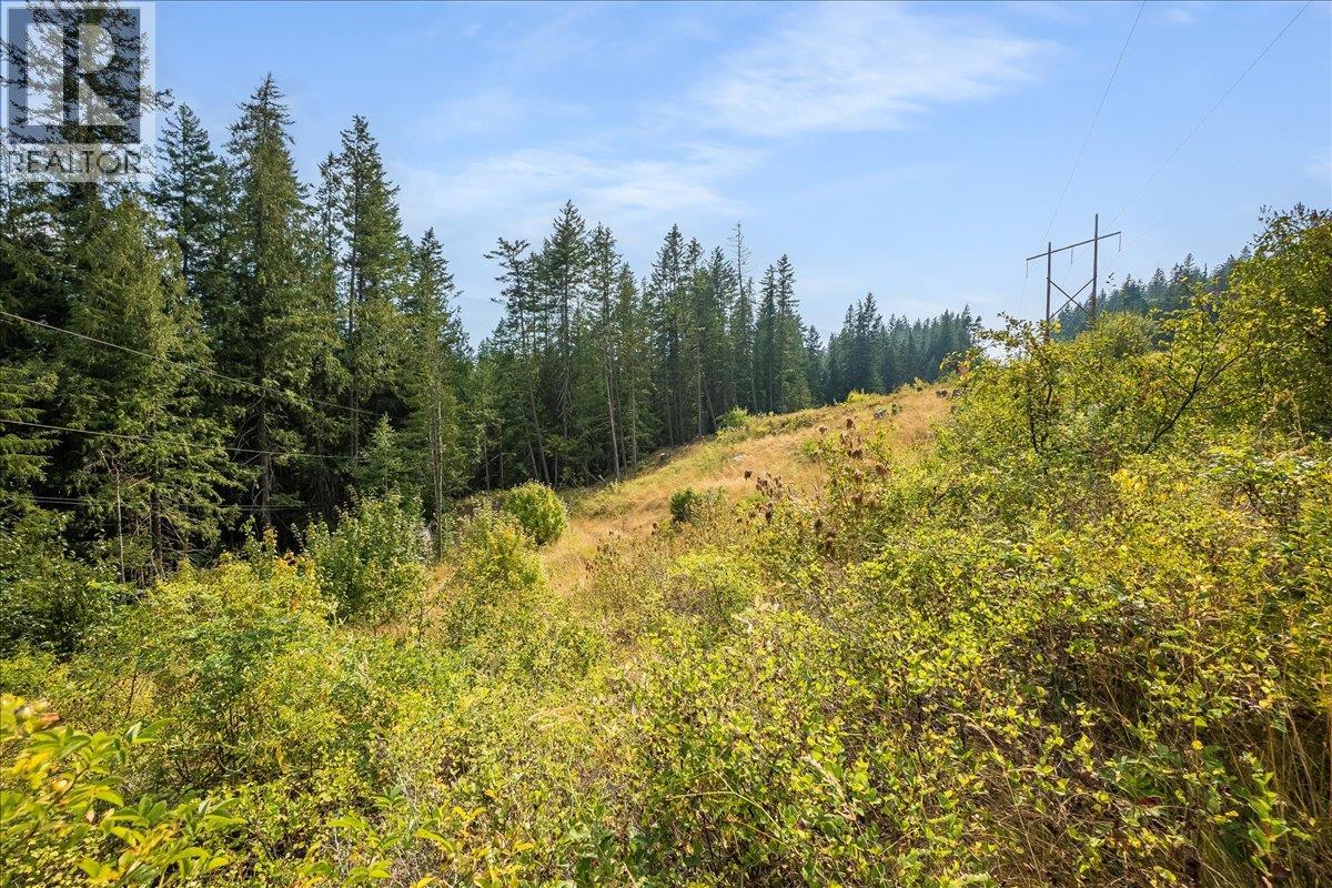 7025 Rogers Road, Balfour, British Columbia V1L 6S5 - Photo 34 - 10397833