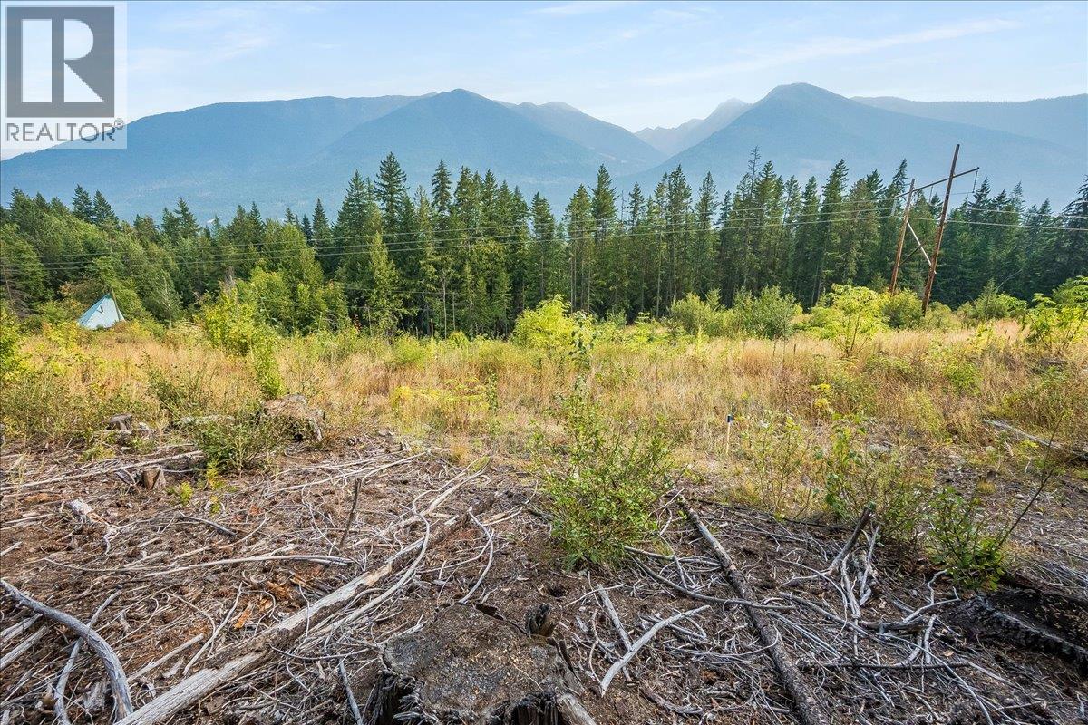 7025 Rogers Road, Balfour, British Columbia V1L 6S5 - Photo 38 - 10397833