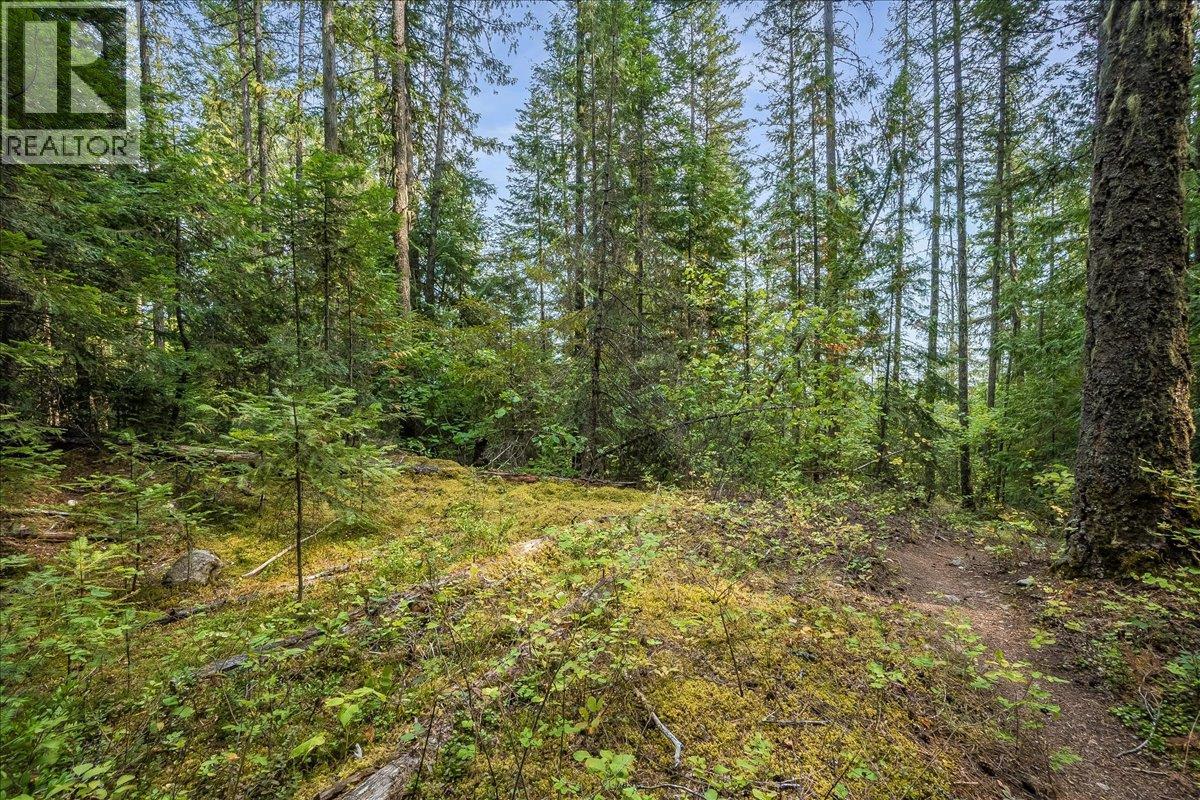 7025 Rogers Road, Balfour, British Columbia V1L 6S5 - Photo 39 - 10397833