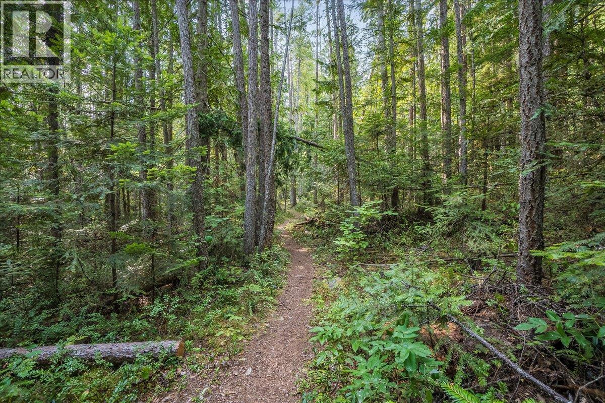 7025 Rogers Road, Balfour, British Columbia V1L 6S5 - Photo 42 - 10397833