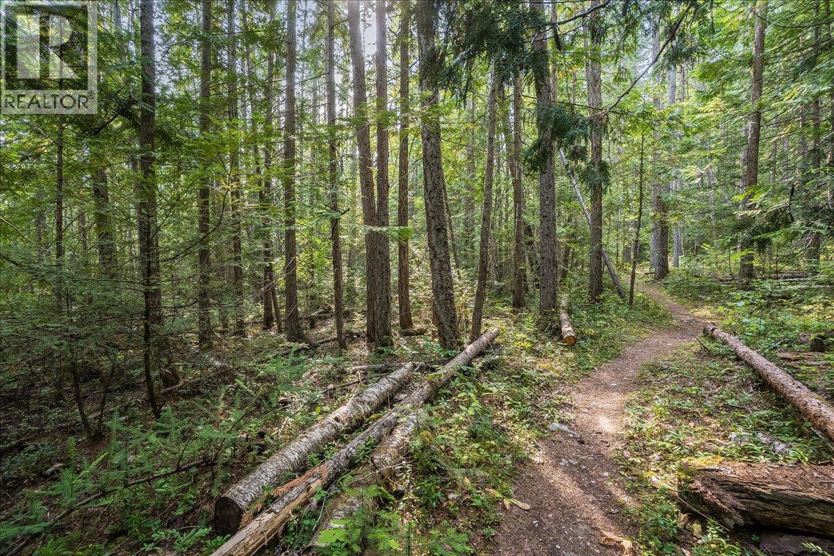 7025 Rogers Road, Balfour, British Columbia V1L 6S5 - Photo 43 - 10397833