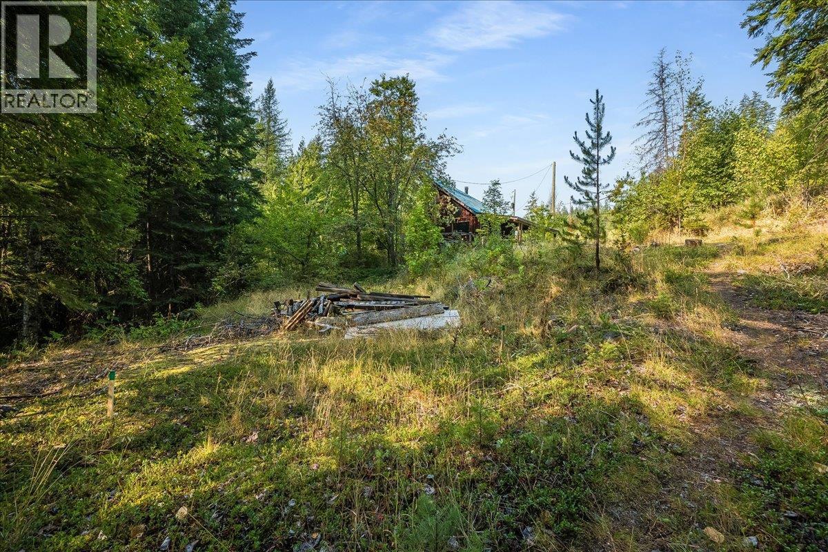 7025 Rogers Road, Balfour, British Columbia V1L 6S5 - Photo 45 - 10397833
