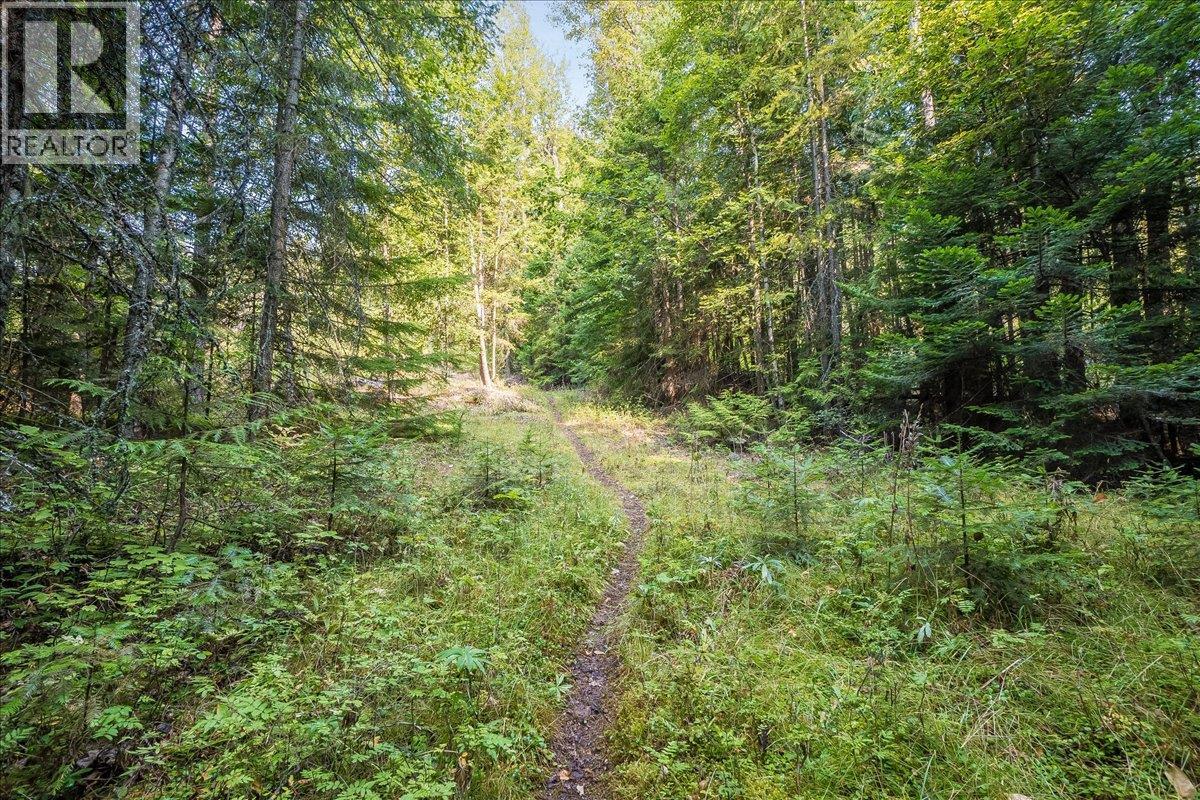 7025 Rogers Road, Balfour, British Columbia V1L 6S5 - Photo 47 - 10397833