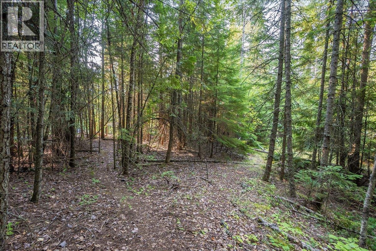 7025 Rogers Road, Balfour, British Columbia V1L 6S5 - Photo 48 - 10397833
