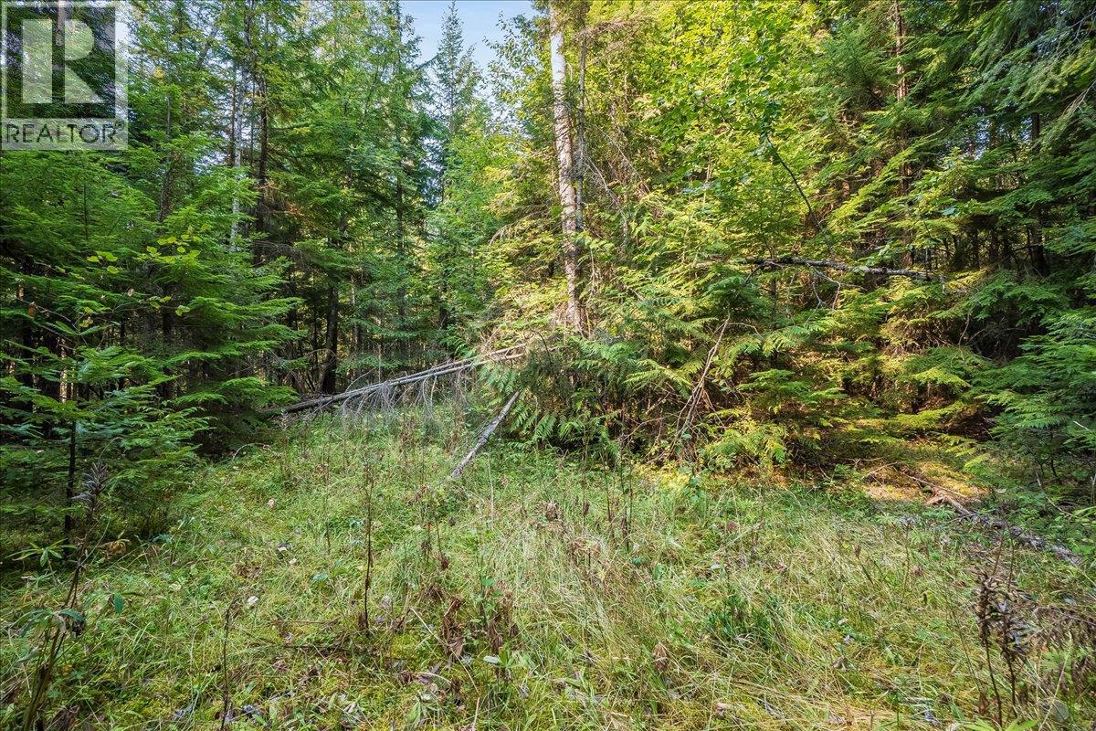 7025 Rogers Road, Balfour, British Columbia V1L 6S5 - Photo 49 - 10397833