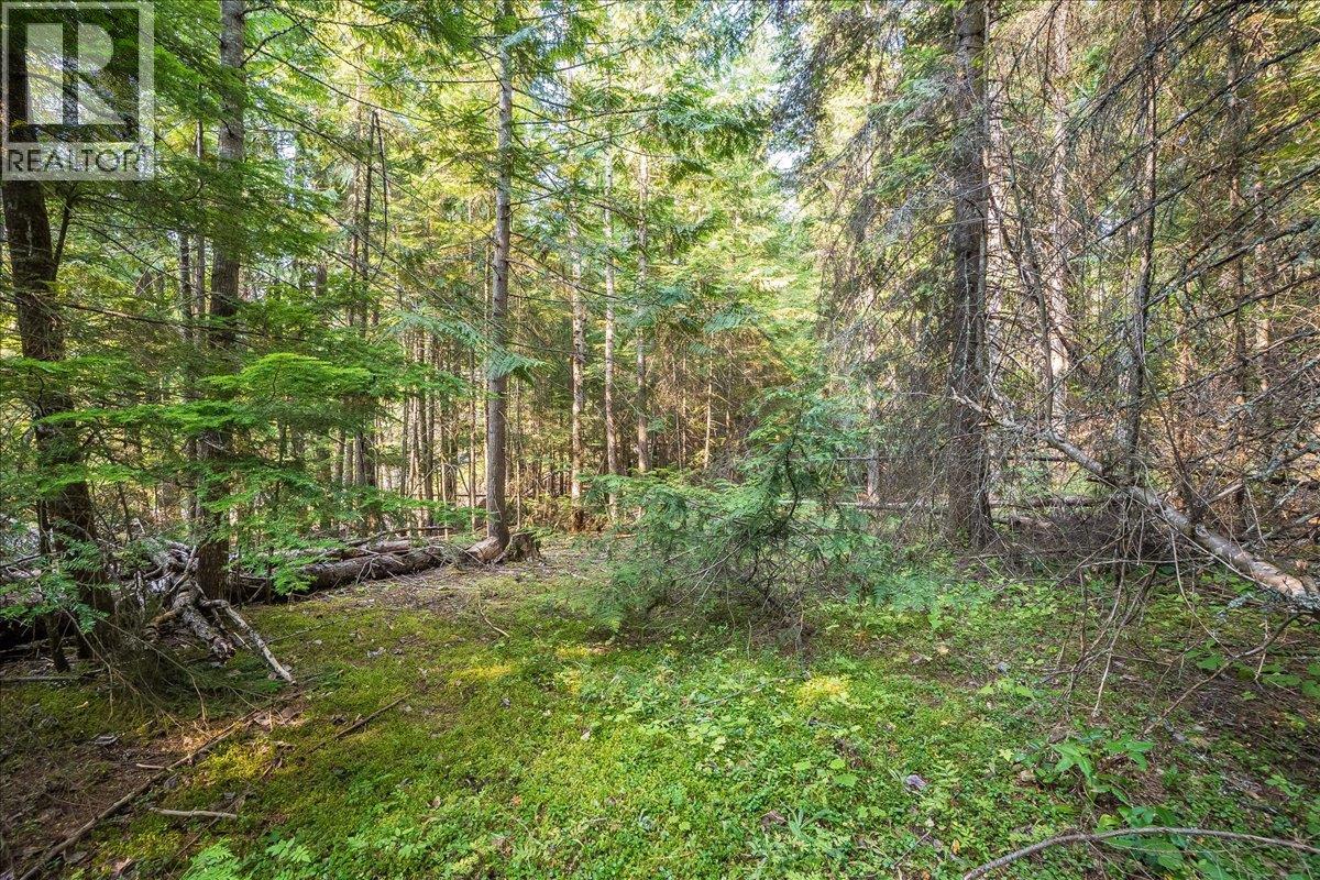 7025 Rogers Road, Balfour, British Columbia V1L 6S5 - Photo 50 - 10397833