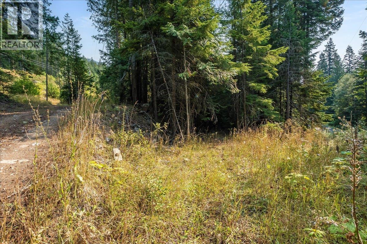 7025 Rogers Road, Balfour, British Columbia V1L 6S5 - Photo 52 - 10397833