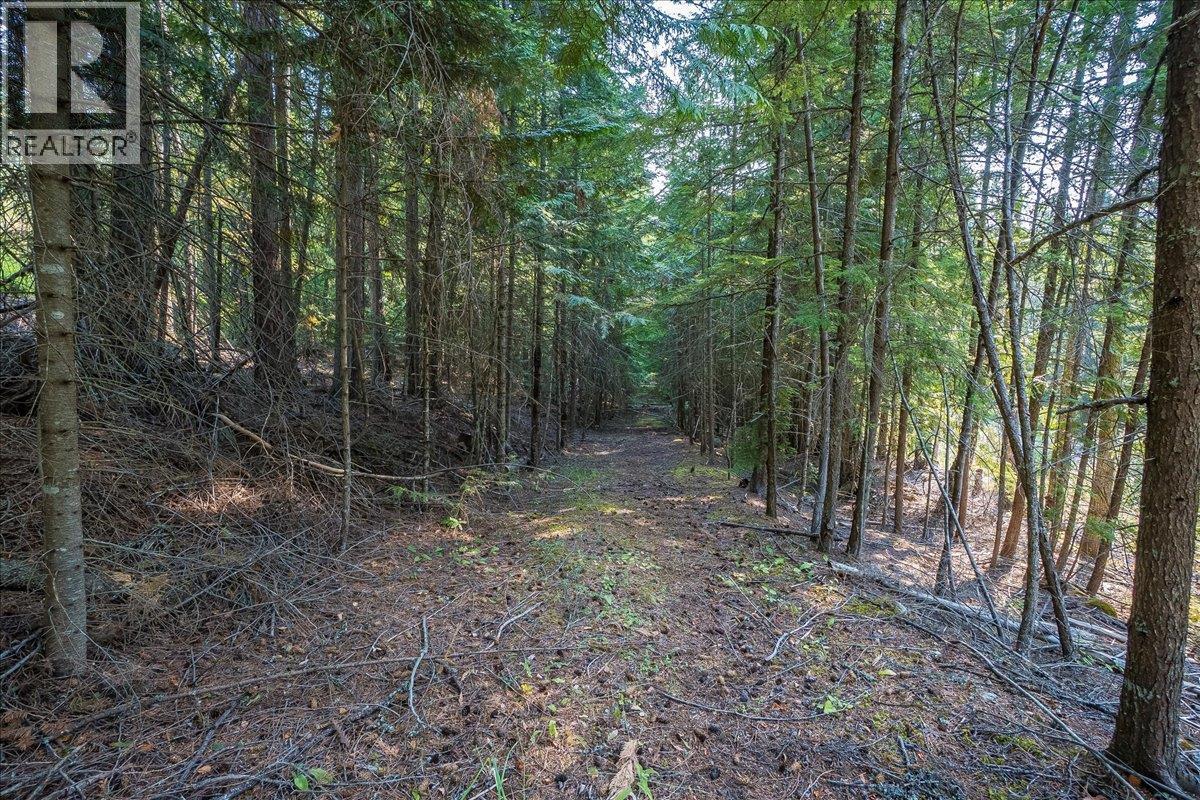 7025 Rogers Road, Balfour, British Columbia V1L 6S5 - Photo 53 - 10397833
