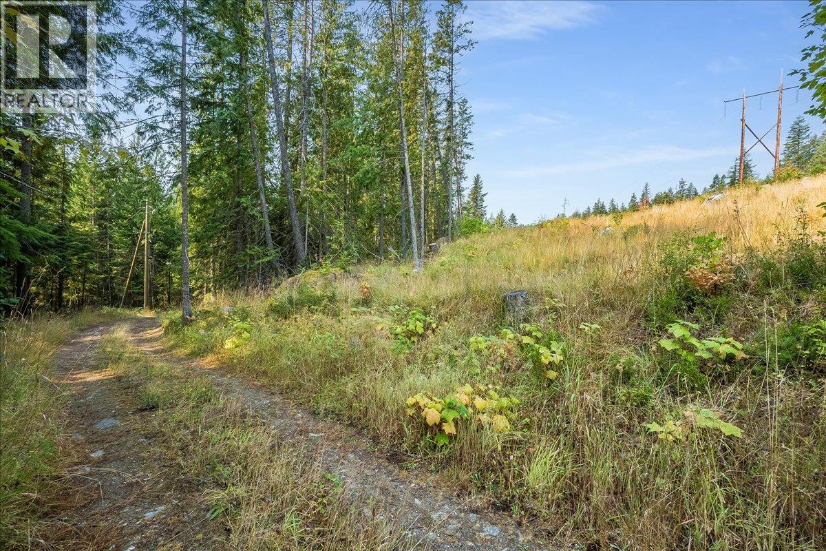 7025 Rogers Road, Balfour, British Columbia V1L 6S5 - Photo 55 - 10397833