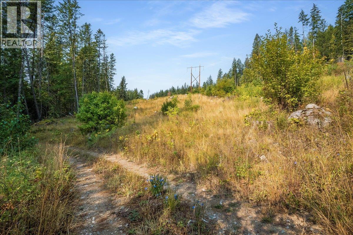 7025 Rogers Road, Balfour, British Columbia V1L 6S5 - Photo 56 - 10397833