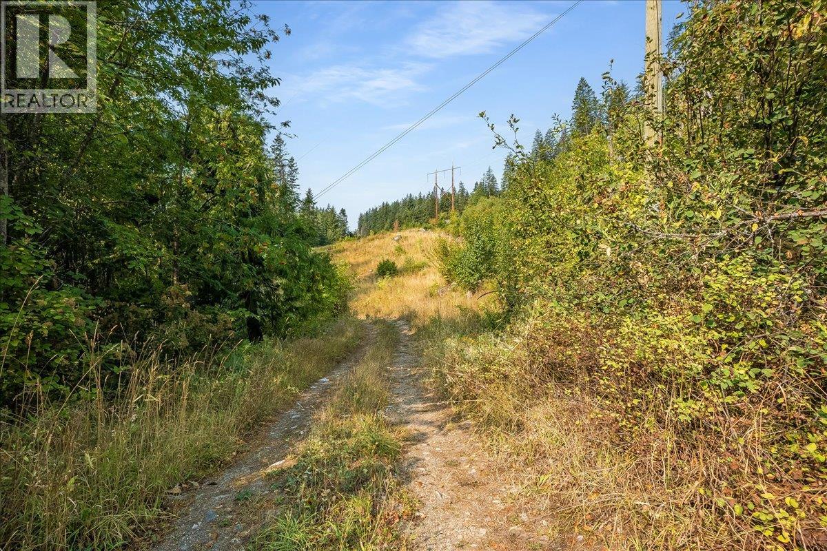 7025 Rogers Road, Balfour, British Columbia V1L 6S5 - Photo 57 - 10397833