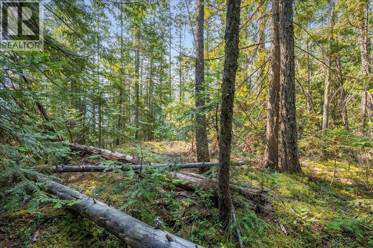 7025 Rogers Road, Balfour, British Columbia V1L 6S5 - Photo 58 - 10397833