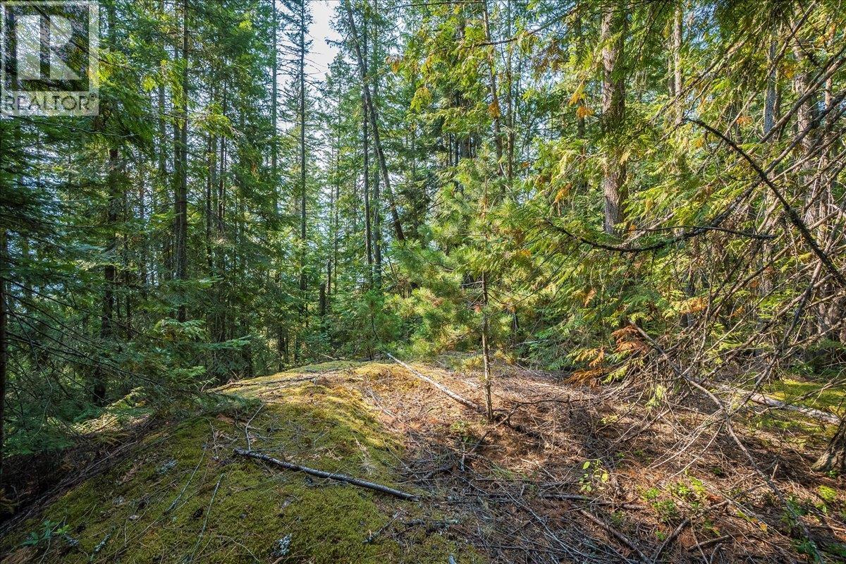 7025 Rogers Road, Balfour, British Columbia V1L 6S5 - Photo 59 - 10397833