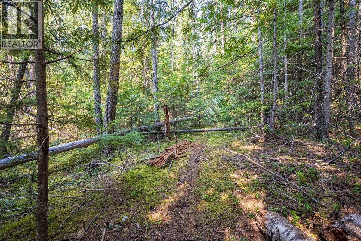 7025 Rogers Road, Balfour, British Columbia V1L 6S5 - Photo 61 - 10397833