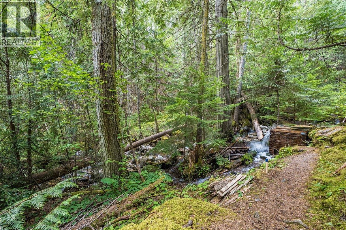 7025 Rogers Road, Balfour, British Columbia V1L 6S5 - Photo 8 - 10397833