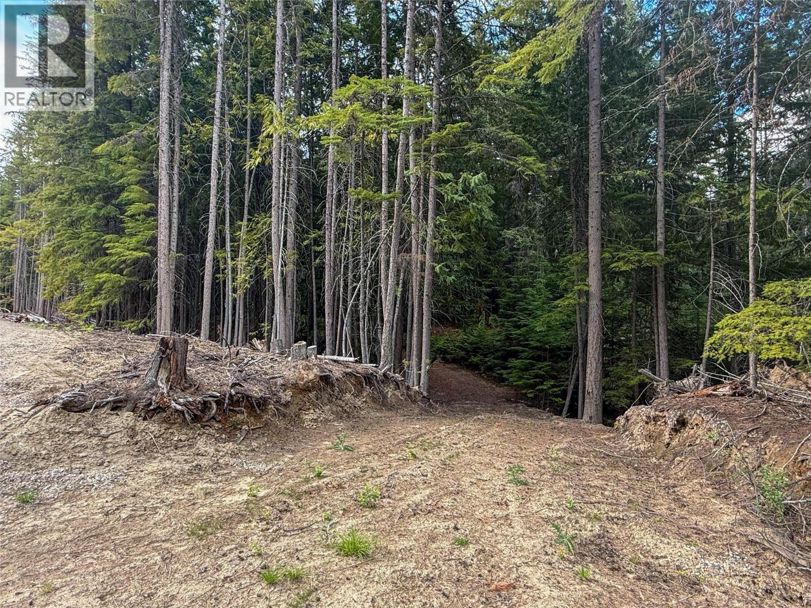 3945 Saunders Road, Passmore, British Columbia V0G 2J0 - Photo 4 - 10395877