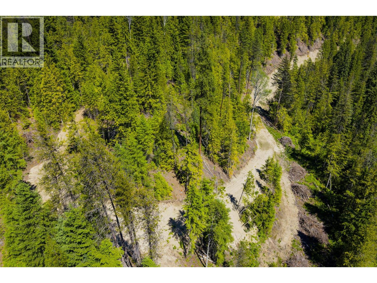 3945 Saunders Road, Passmore, British Columbia V0G 2J0 - Photo 27 - 10395877