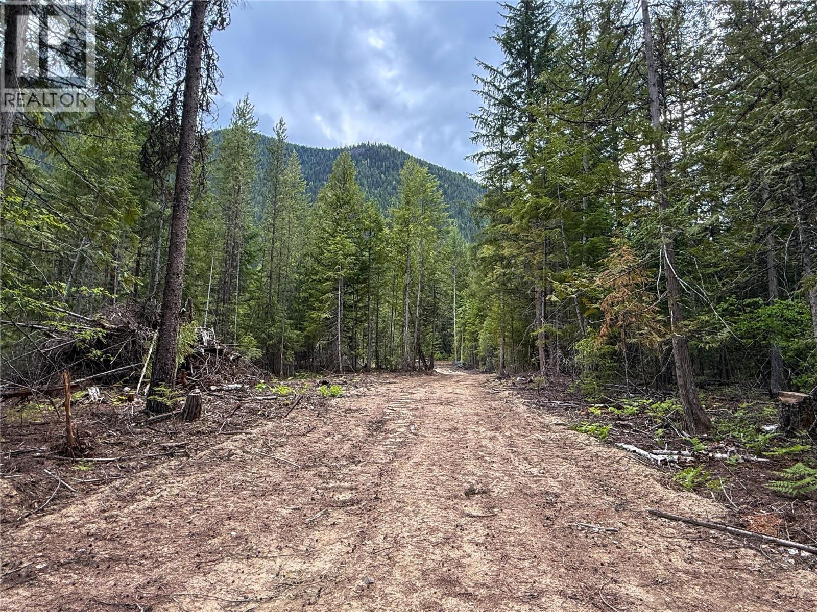 3945 Saunders Road, Passmore, British Columbia V0G 2J0 - Photo 16 - 10395877