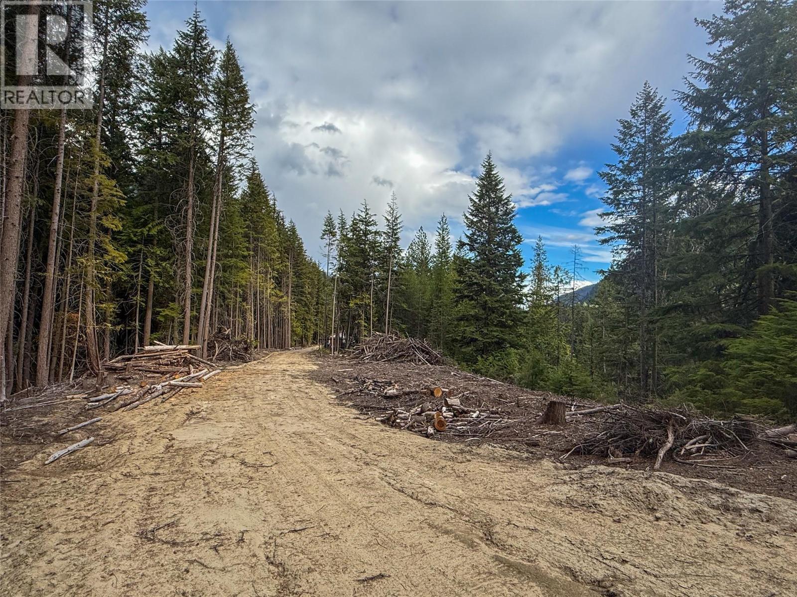 3945 Saunders Road, Passmore, British Columbia V0G 2J0 - Photo 19 - 10395877