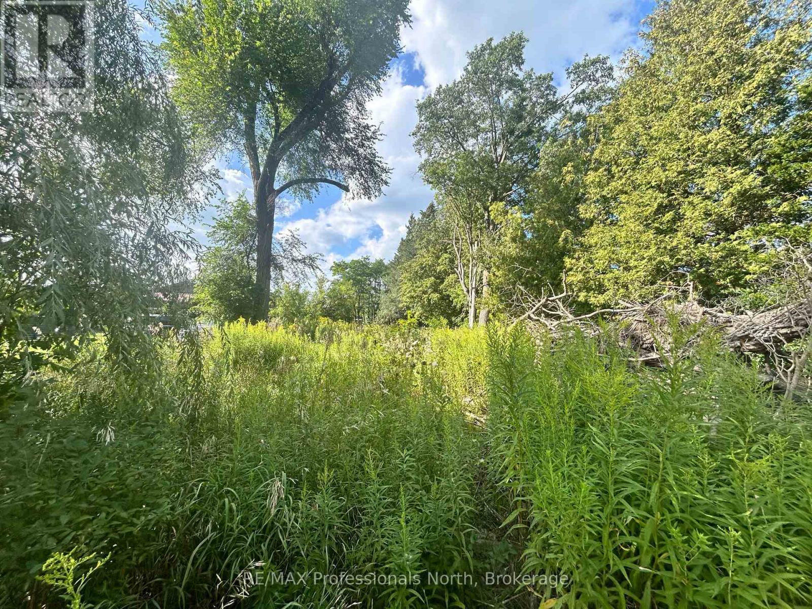 4437 HIGHWAY 7, Kawartha Lakes, Ontario