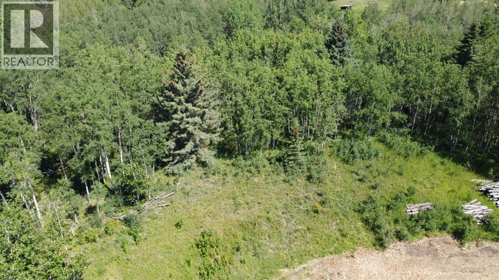 28 Elkstone Way, Rural Rocky View County, Alberta  T4C 2Y8 - Photo 3 - A2338964