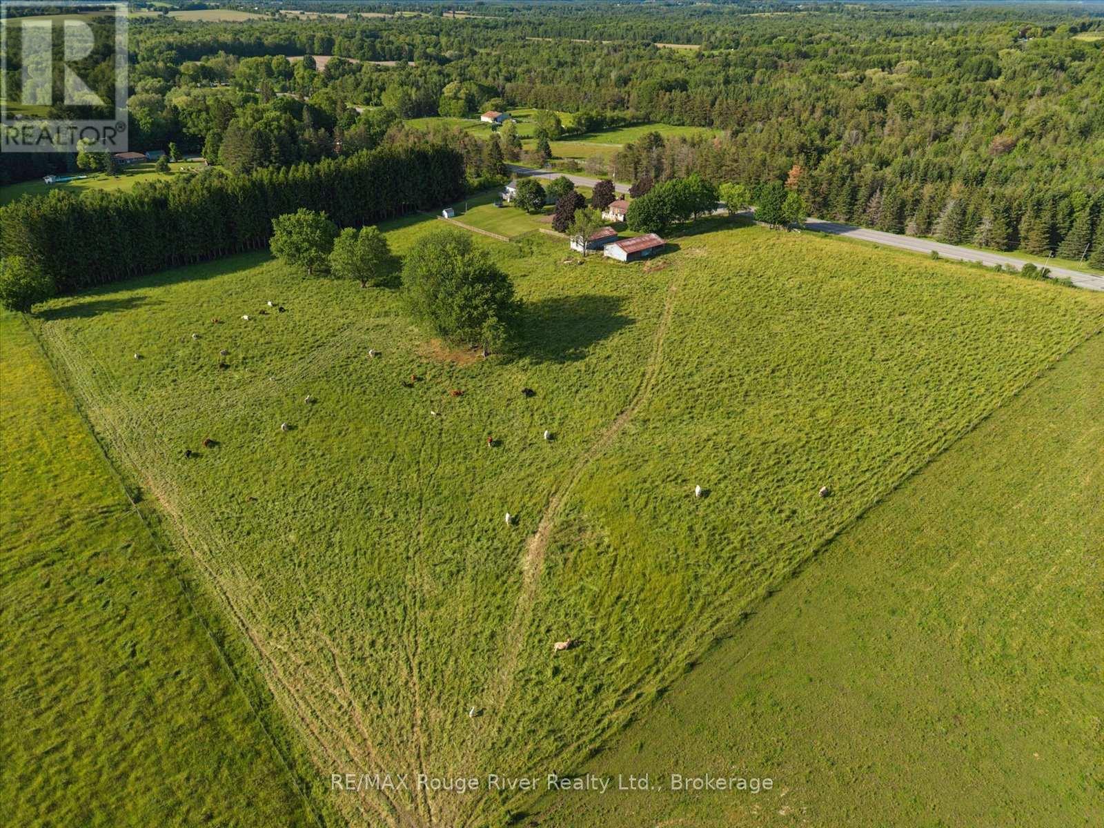 3714 Newtonville Road, Clarington, Ontario  L0A 1J0 - Photo 34 - E13665876