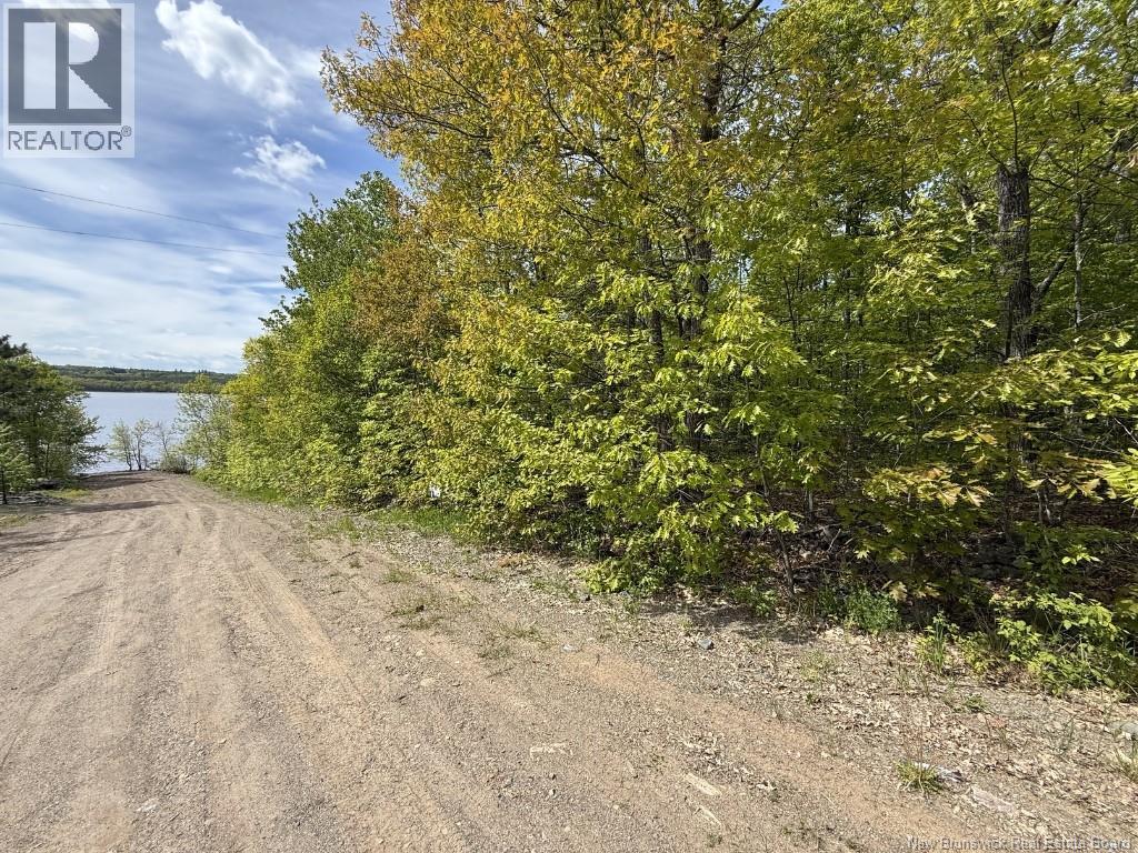 Lot 2010-01 Akerley Wharf Road, Cambridge-Narrows, New Brunswick  E4C 4E6 - Photo 13 - NB139017